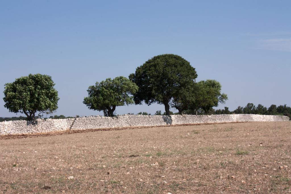 Trulli Sarmenzanello Apartment Noci Cameră foto